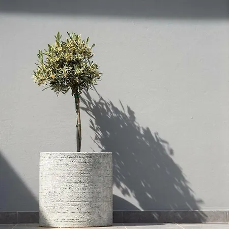 Апартаменты Kochyli Garden Неа-Плайя